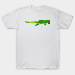 Drawing - gold dust day gecko T-Shirt